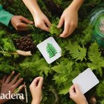 MEJORES PRÁCTICAS PARA COMBATIR EL CAMBIO CLIMÁTICO: Un Compromiso Colectivo