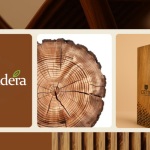 🪵 LA IDENTIDAD DE TU MARCA SE DISEÑA DESDE EL INICIO